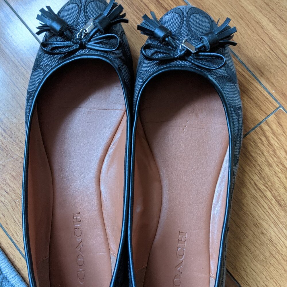 Coach shoes
